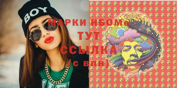 ECSTASY Бородино