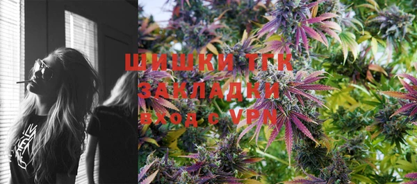 стаф Горняк