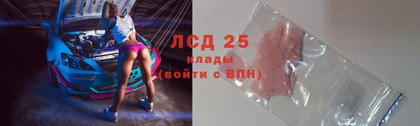 стаф Горняк