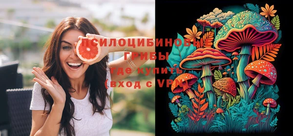 стаф Горняк