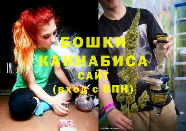 стаф Горняк